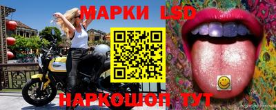стаф Донецк