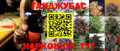 стаф Донецк