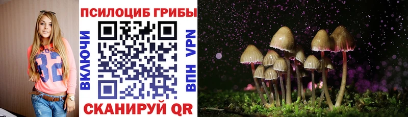 Псилоцибиновые грибы мицелий  Сосновый Бор 