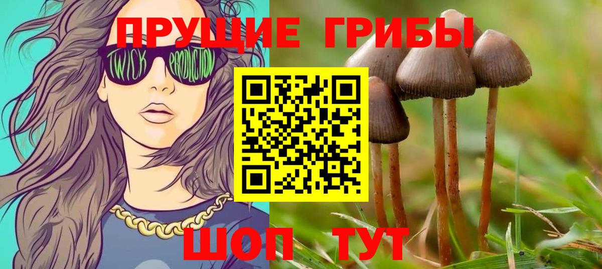 Псилоцибиновые грибы ЛСД  Вход с VPN  Сосновый Бор 
