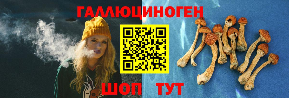 Галлюциногенные грибы мицелий Сосновый Бор