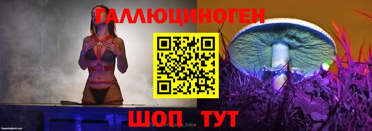 Псилоцибиновые грибы прущие грибы Сосновый Бор