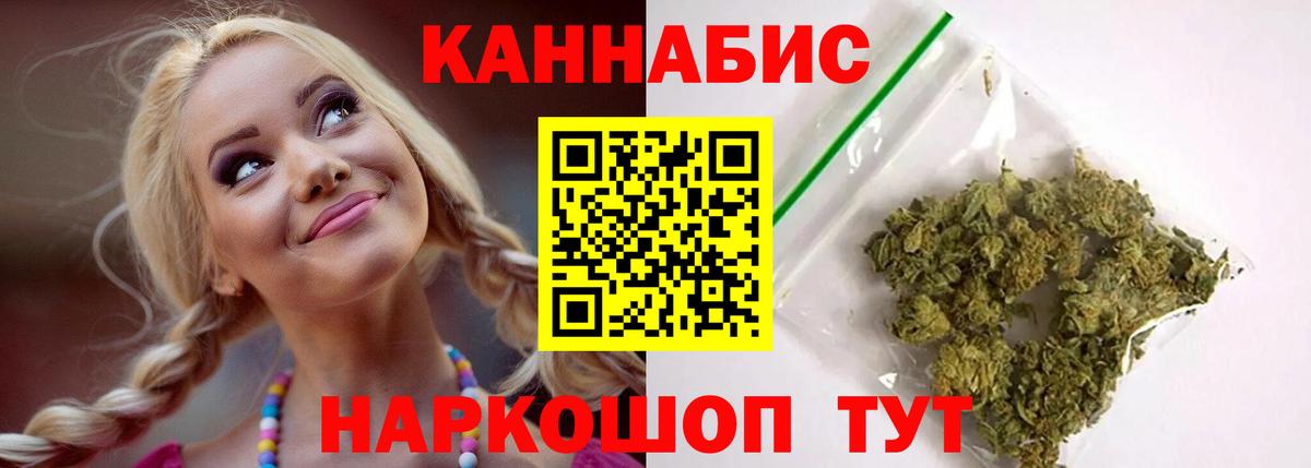 Каннабис индика  Каннабис OG Kush  Сосновый Бор 